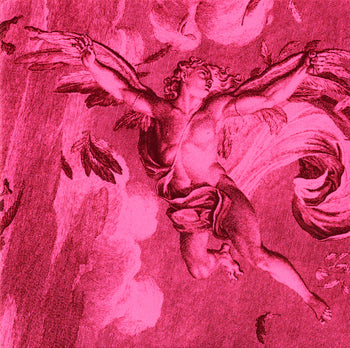 Pink Elephant - Arcade Fire