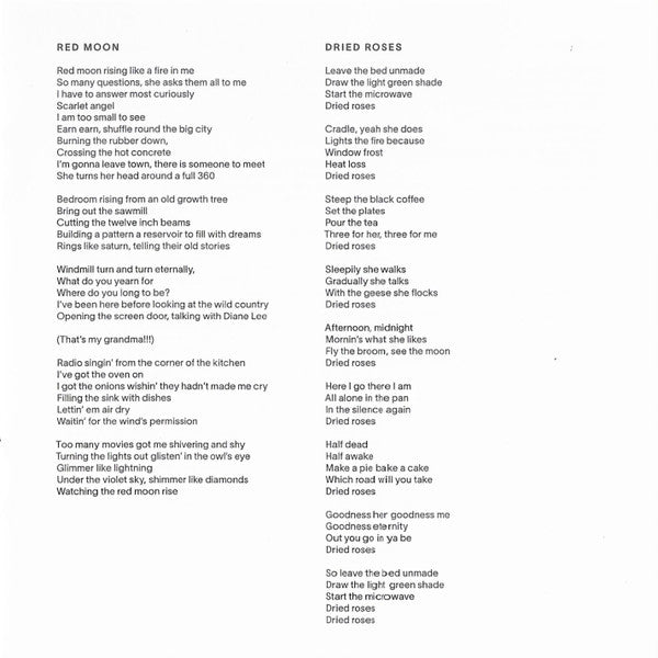 Dragon New Warm Mountain I Believe In You - Big Thief