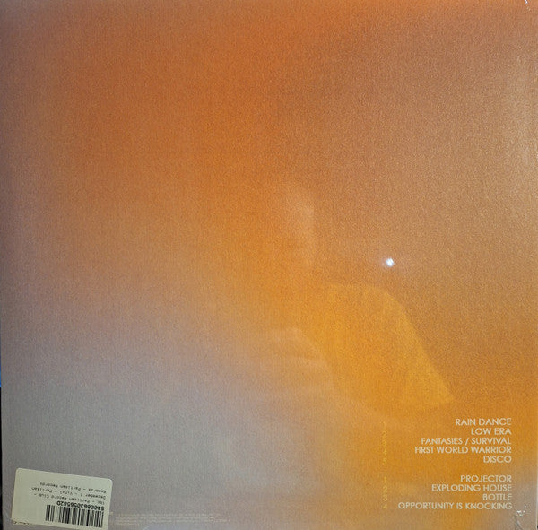 Projector - Geese