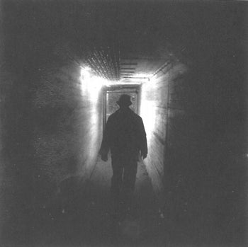 Noise And Flowers - Young, Neil & Promise Of The Real