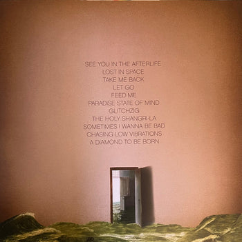 Paradise State Of Mind - Foster The People