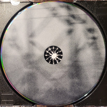 No One Waved Goodbye - Tacoma Radar