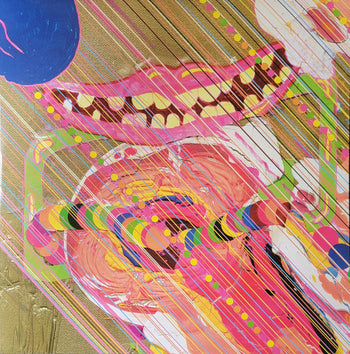 Greatest Hits, Vol. 1 - Flaming Lips