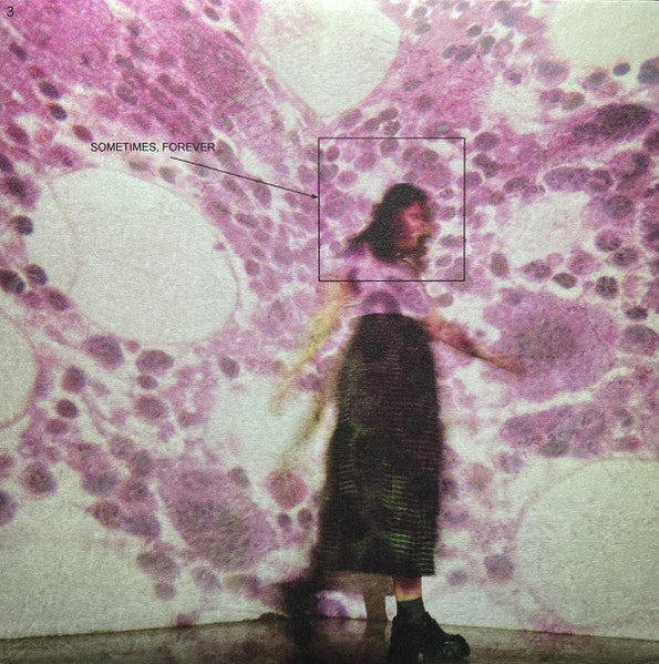 Sometimes, Forever - Soccer Mommy