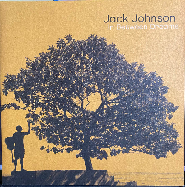 In Between Dreams [LP] - Jack Johnson