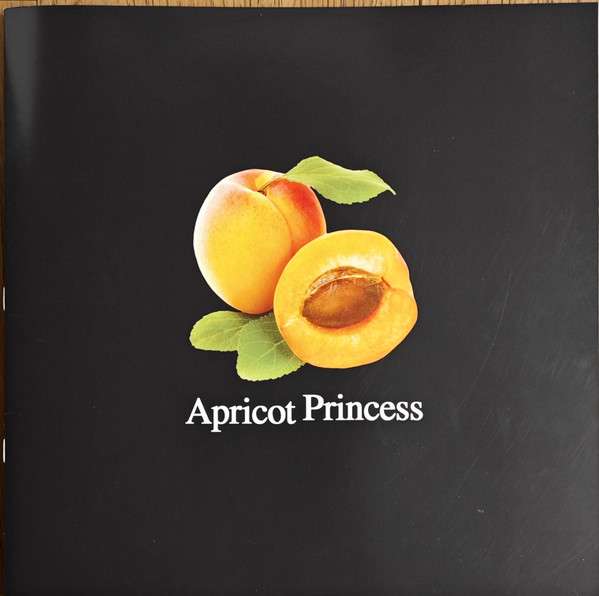 Apricot Princess - Rex Orange County