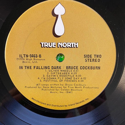 In The Falling Dark - Cockburn, Bruce