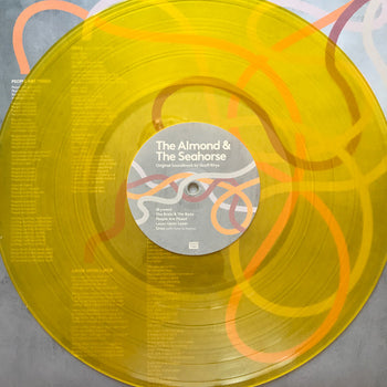 The Almond & The Seahorse - Gruff Rhys