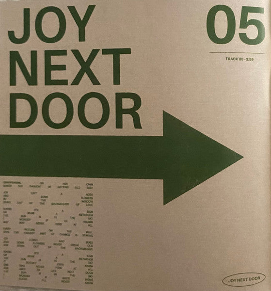 Joy Next Door - Maine