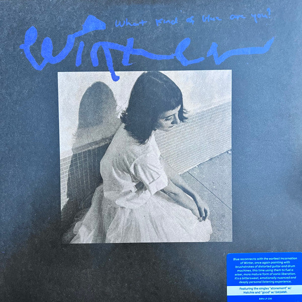 What Kind Of Blue Are You? - Winter