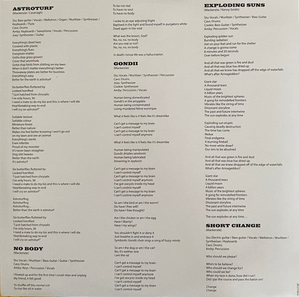 Changes [Limited Edition Recycled Black Wax LP] - King Gizzard & The Lizard Wizard
