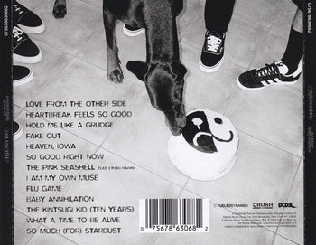 So Much (For) Stardust - Fall Out Boy