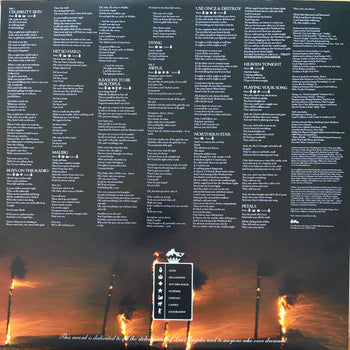 Celebrity Skin [180g Black] - Hole
