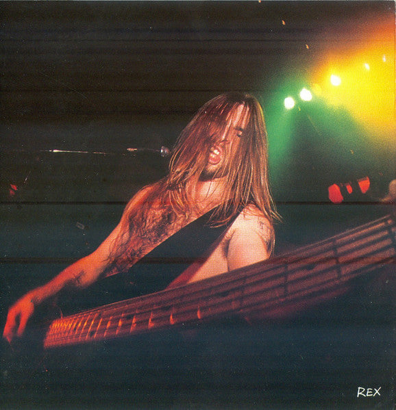 Vulgar Display of Power - Pantera [CD]