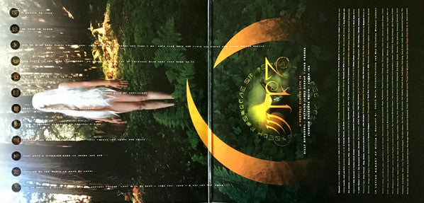 Thirteenth Step - A Perfect Circle