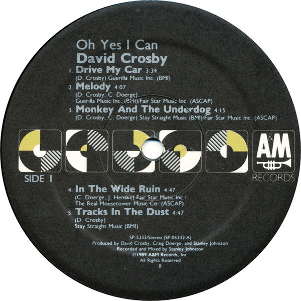 Oh Yes I Can - Crosby, David