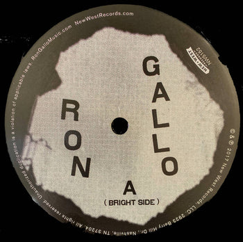 Heavy Meta - Gallo, Ron