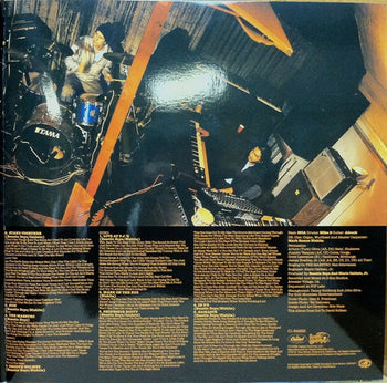 Check Your Head - Beastie Boys