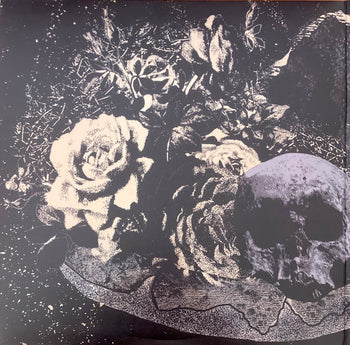Observance - Primitive Man
