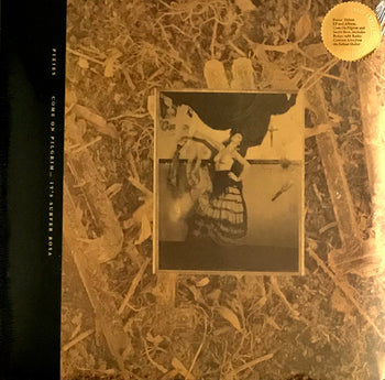 Come On Pilgrim... It's Surfer Rosa - Pixies
