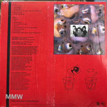 Friday Afternoon In The Universe - Medeski, Martin & Wood