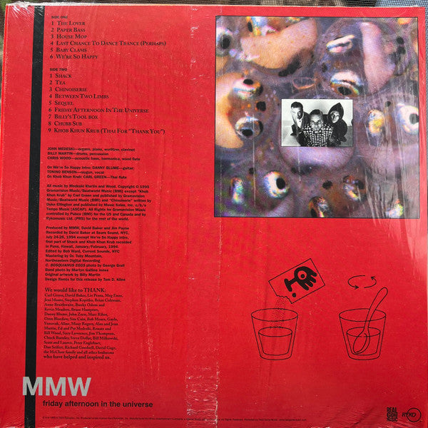 Friday Afternoon In The Universe - Medeski, Martin & Wood