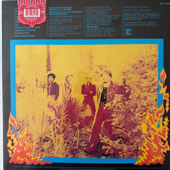 Fire On The Bayou - Meters