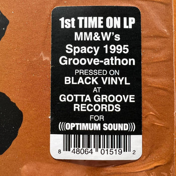 Friday Afternoon In The Universe - Medeski, Martin & Wood
