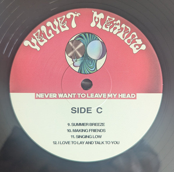 Never Want To Leave My Head - Meadow, Velvet