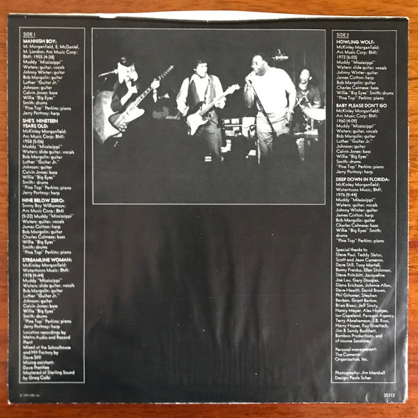 Muddy "Mississippi" Waters Live - Muddy Waters