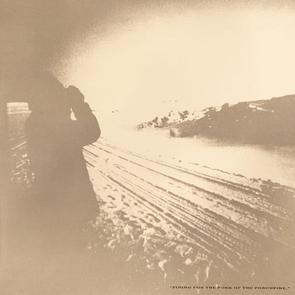 Porcupine - Echo & The Bunnymen