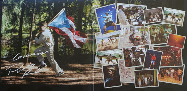 DEBÍ TIRAR MÁS FOTOS - Bad Bunny
