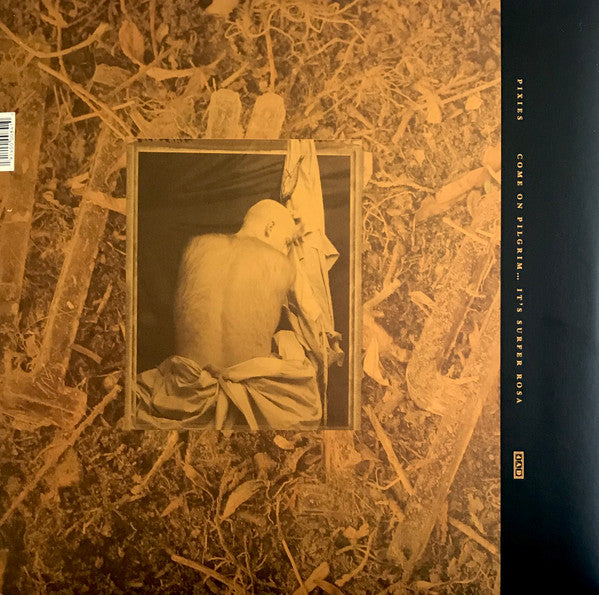 Come On Pilgrim... It's Surfer Rosa - Pixies