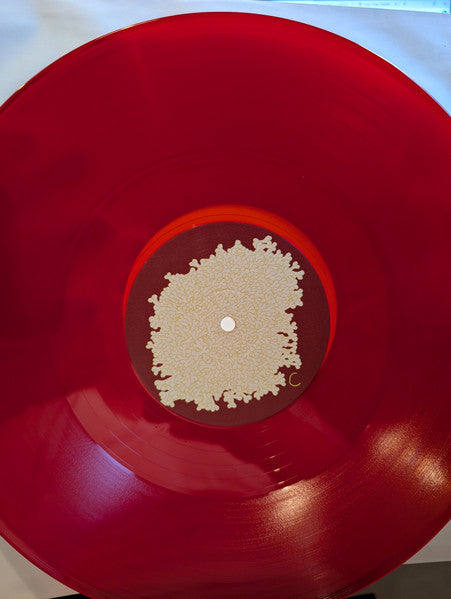 Sung Tongs - Animal Collective
