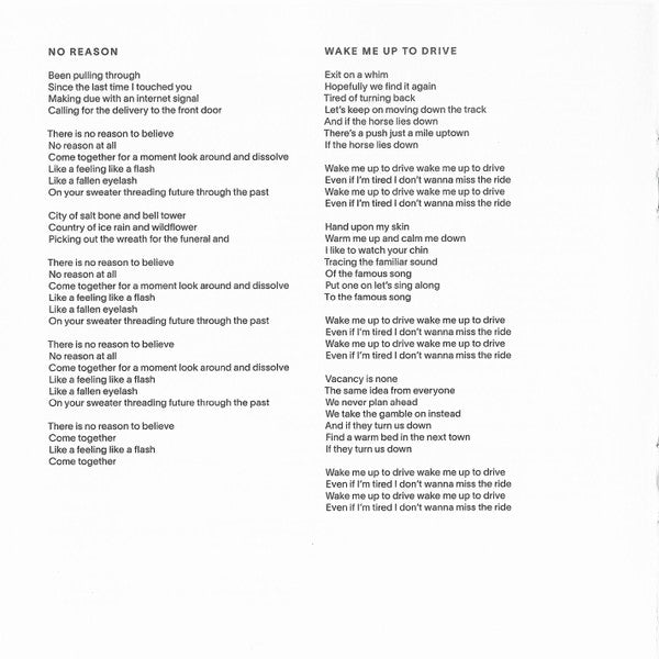 Dragon New Warm Mountain I Believe In You - Big Thief
