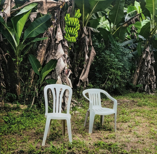 DEBÍ TIRAR MÁS FOTOS - Bad Bunny