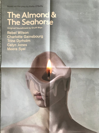 The Almond & The Seahorse - Gruff Rhys