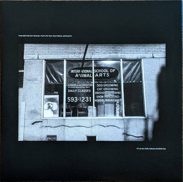 This Stupid World - Yo La Tengo