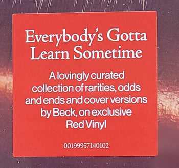 Everybody’s Gotta Learn Sometime - Beck