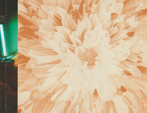 Bouquet - Stefani, Gwen