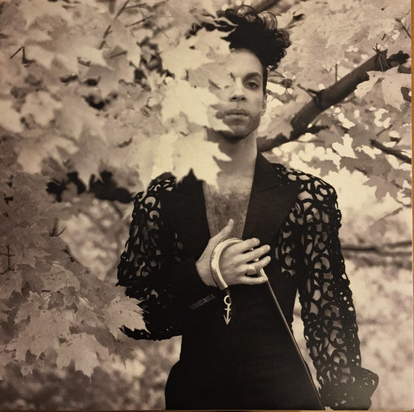 The Hits 2 - Prince