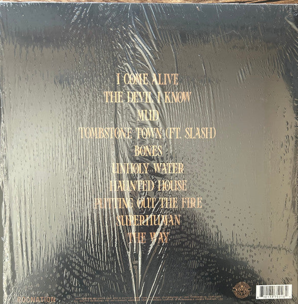 THE WAY - Dorothy