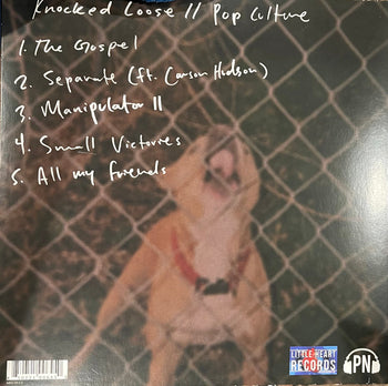 Pop Culture - Knocked Loose