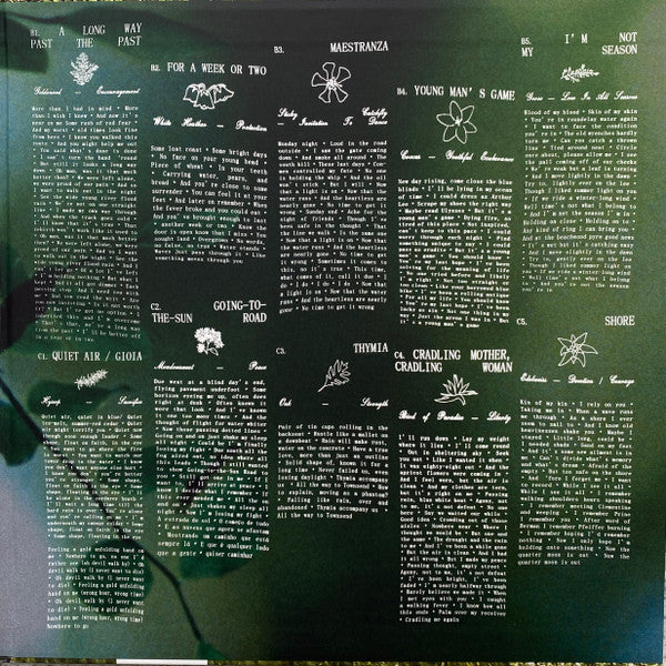Shore - Fleet Foxes