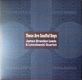 THESE ARE SOULFUL DAYS (RSD) - LEWIS,JAMES BRANDON