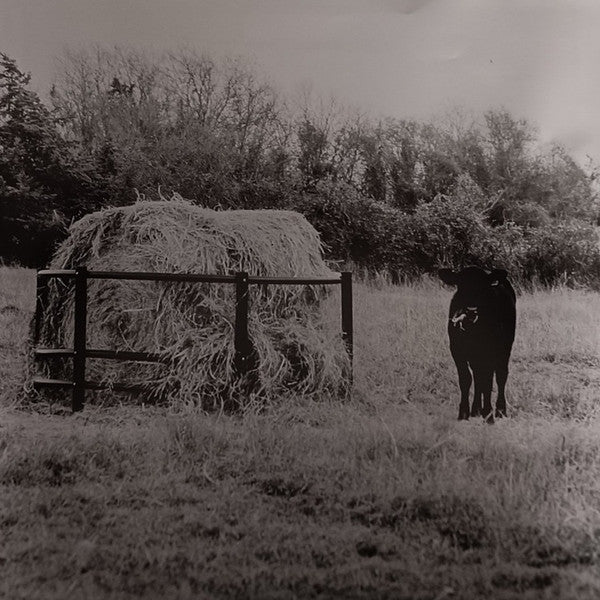 The Universe Smiles Upon You ii - Khruangbin