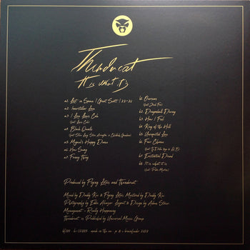 It Is What It Is - Thundercat
