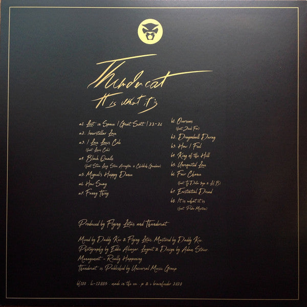 It Is What It Is - Thundercat