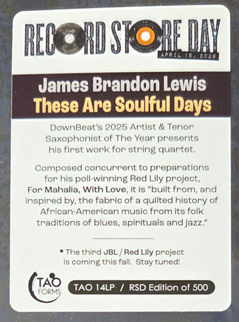 THESE ARE SOULFUL DAYS (RSD) - LEWIS,JAMES BRANDON