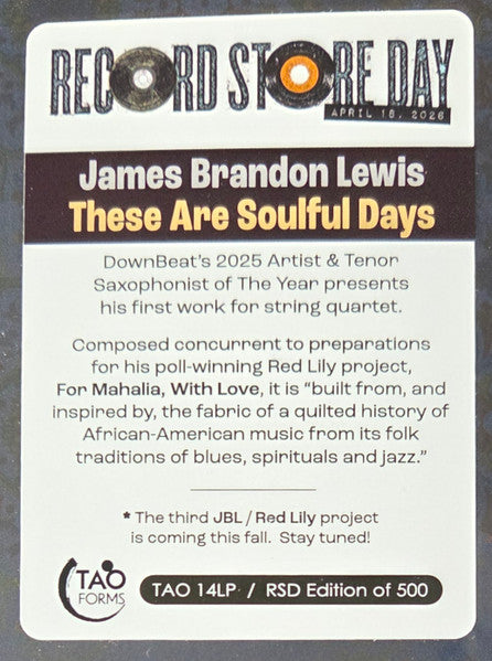 THESE ARE SOULFUL DAYS (RSD) - LEWIS,JAMES BRANDON